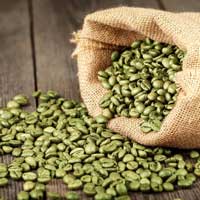 Green Coffee Bean Extract for CogniCare Pro Memory Supplement