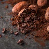 Theobromine Natural Compound in CogniCare Pro Pills